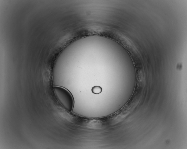 X0000101150463200807111009