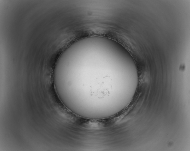 X0000101150464200807111009