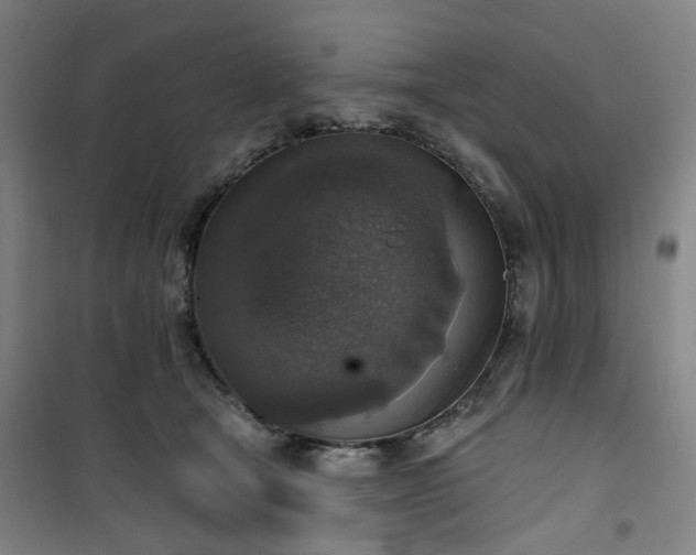 X0000101150465200807111009