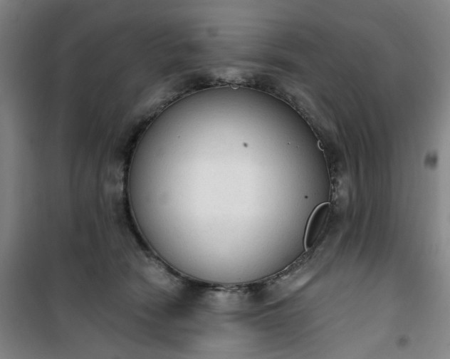 X0000101150466200807111009