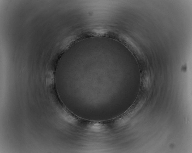 X0000101150467200807111009