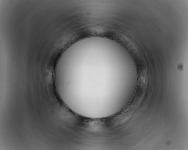 X0000101150468200807111009