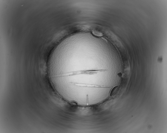 X0000101150469200807111009