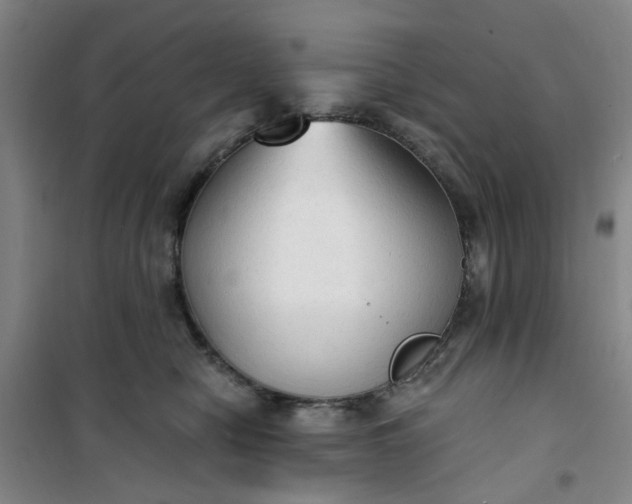 X0000101150470200807111009