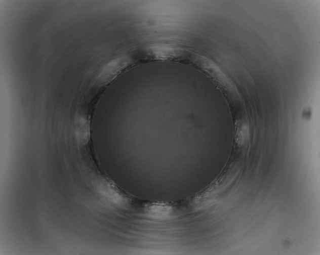 X0000101150471200807111009