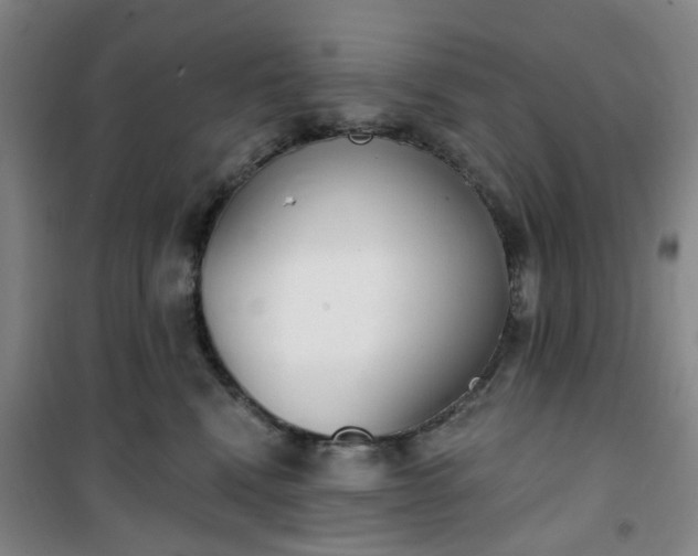 X0000101150472200807111009