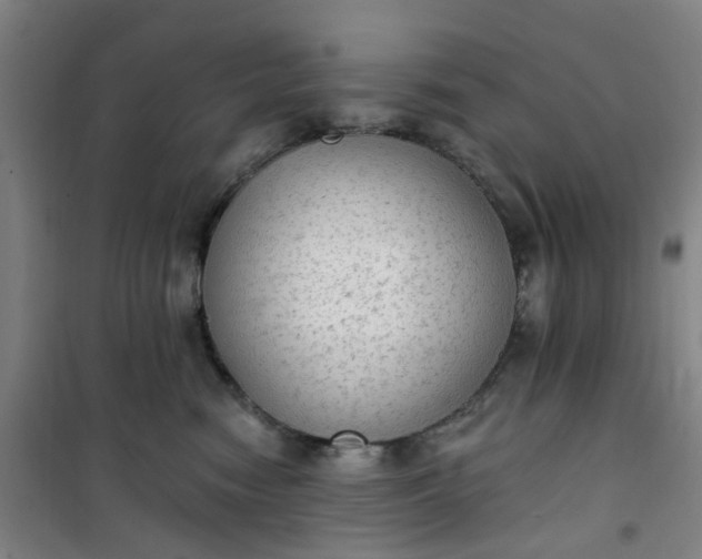 X0000101150474200807111009