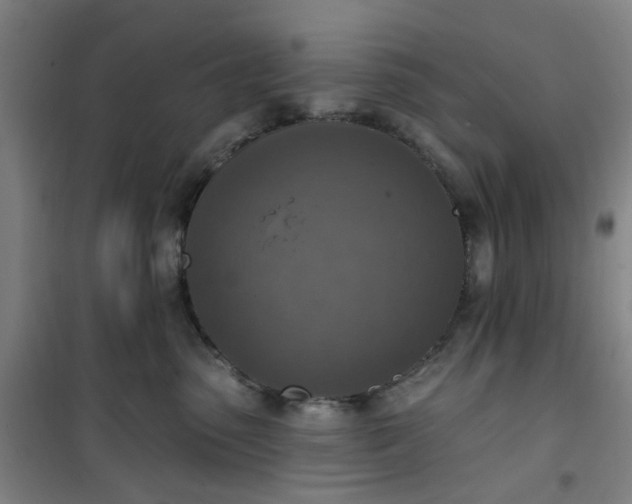 X0000101150475200807111010