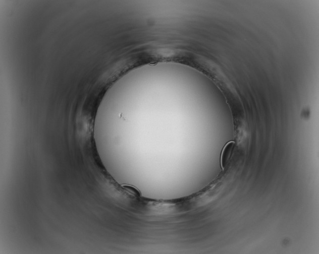 X0000101150476200807111010