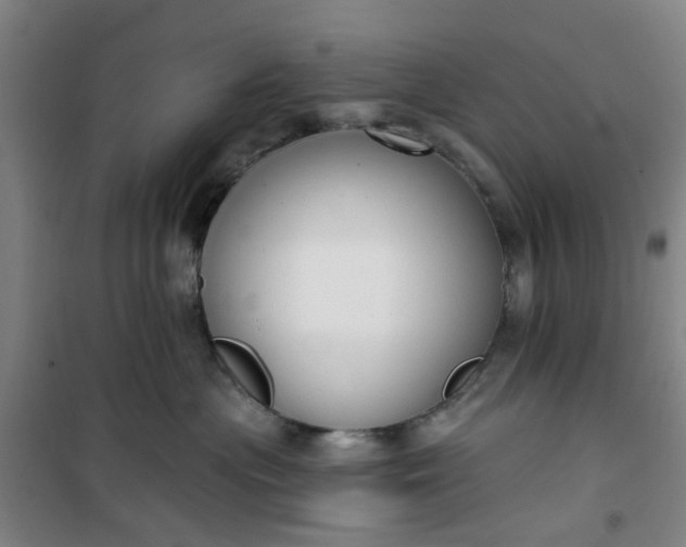 X0000101150477200807111010