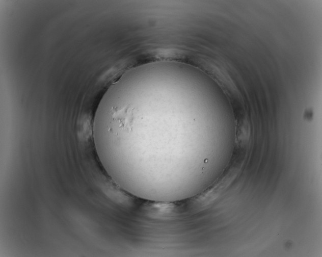 X0000101150478200807111010