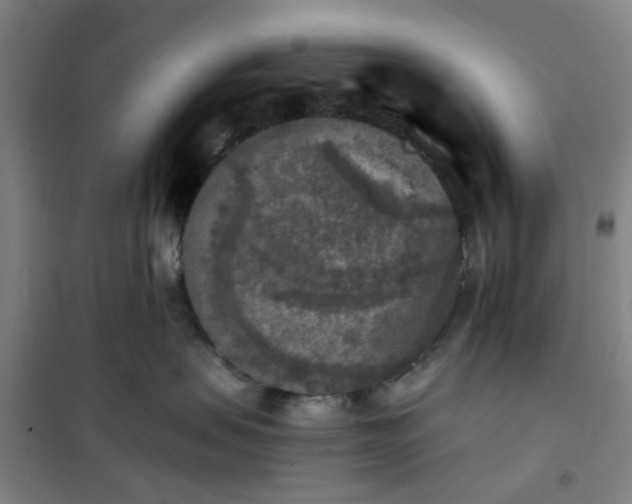 X0000101150479200807111010