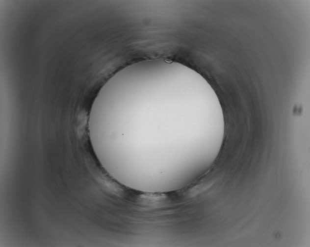 X0000101150480200807111010