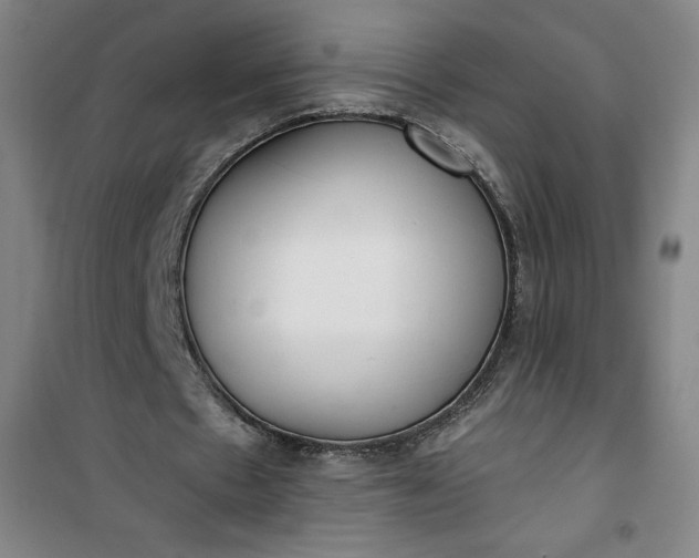 X0000101150481200807111009