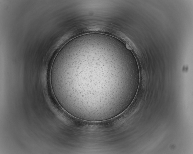 X0000101150482200807111009