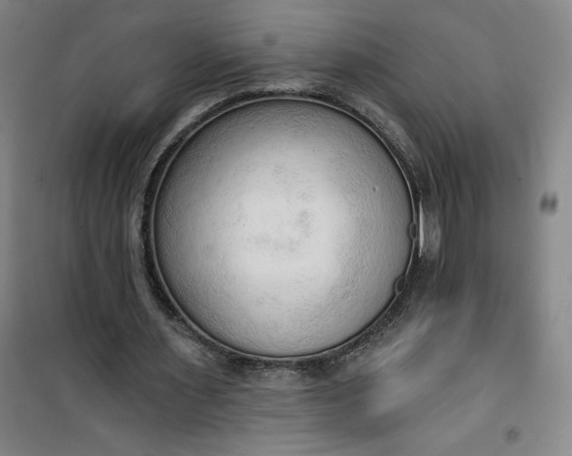 X0000101150483200807111009