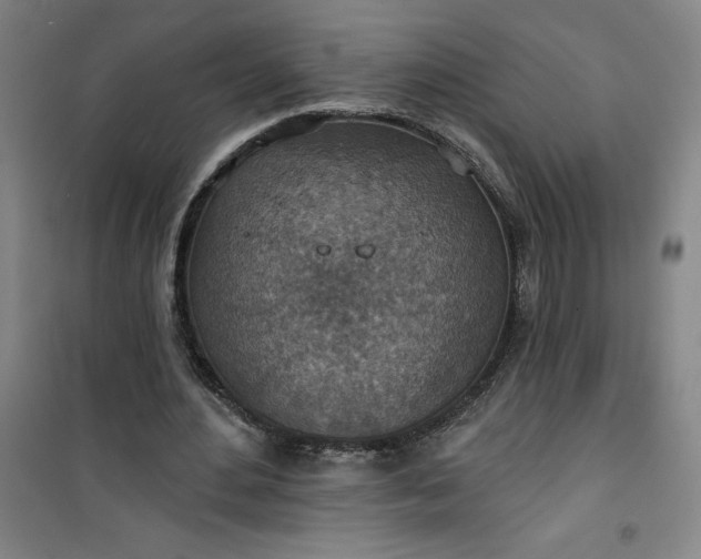 X0000101150484200807111009