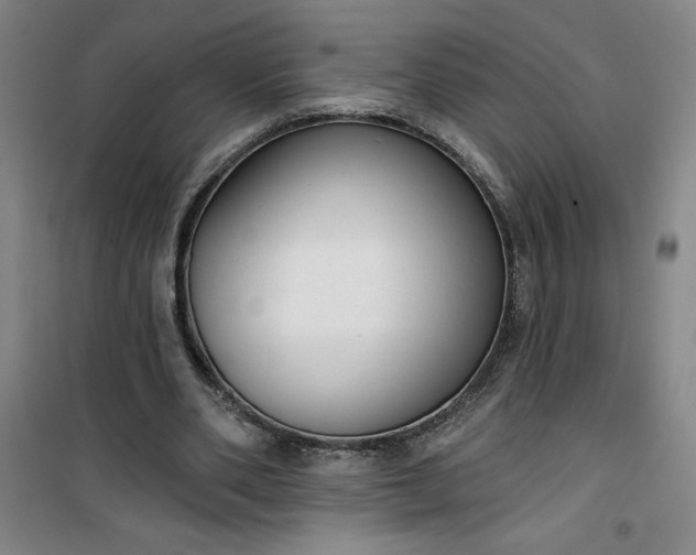 X0000101150486200807111009