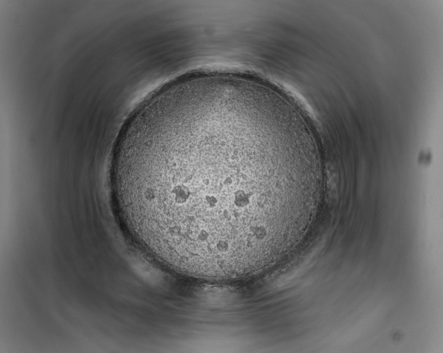 X0000101150487200807111009