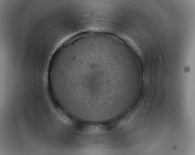 X0000101150488200807111009