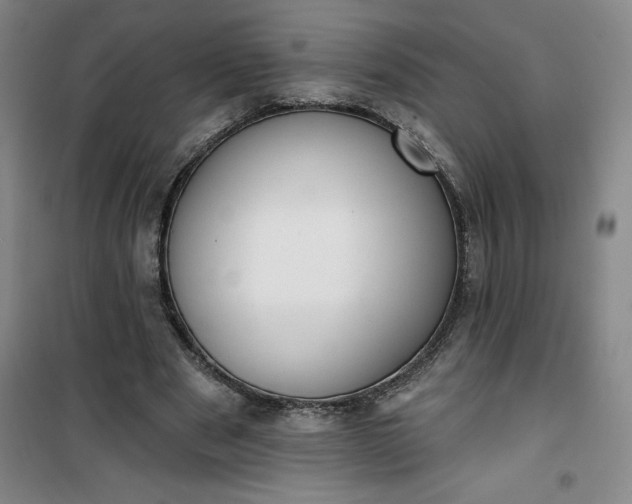 X0000101150489200807111009