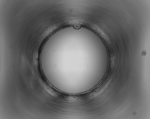 X0000101150490200807111009