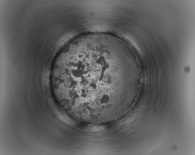 X0000101150491200807111009