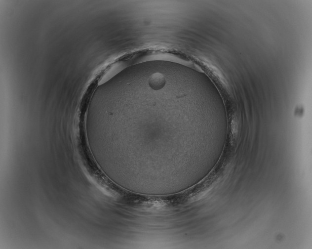 X0000101150492200807111009