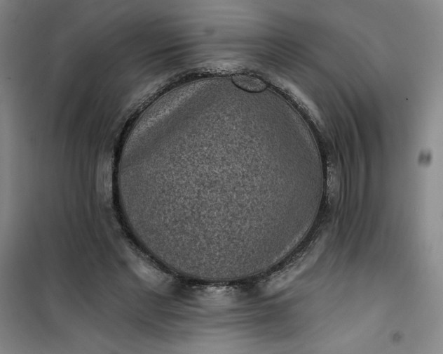 X0000101150493200807111009