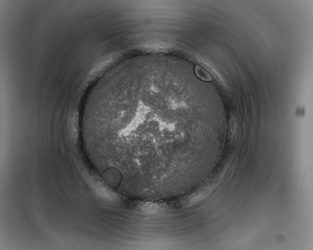 X0000101150494200807111009