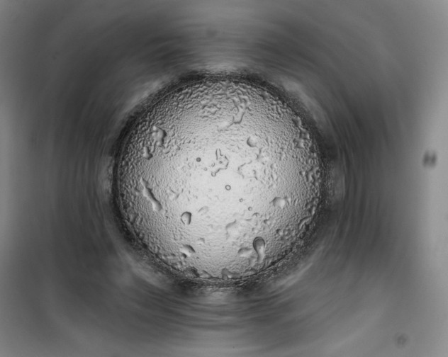 X0000101150495200807111009