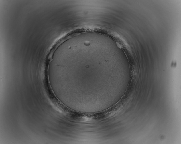 X0000101150496200807111009