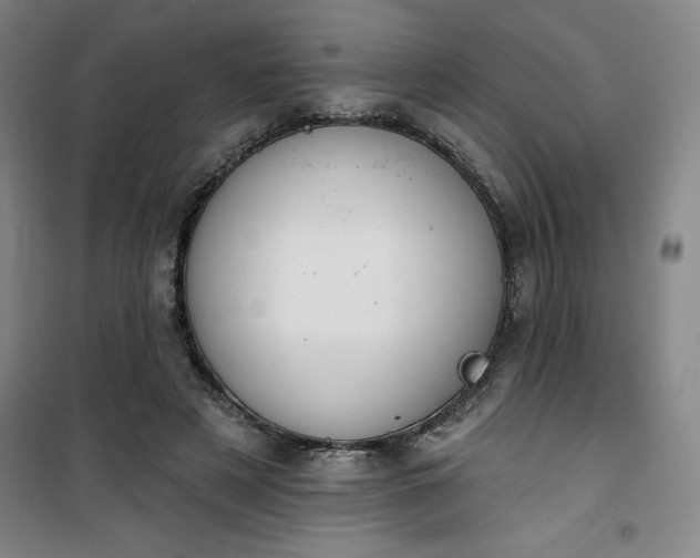 X0000101150497200807111009