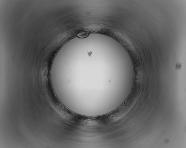 X0000101150498200807111009