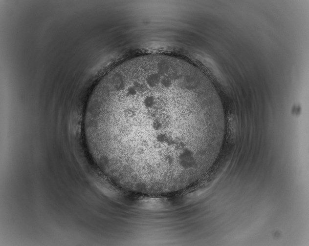 X0000101150499200807111009