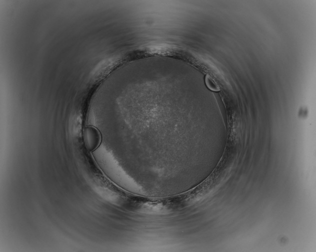 X0000101150502200807111009