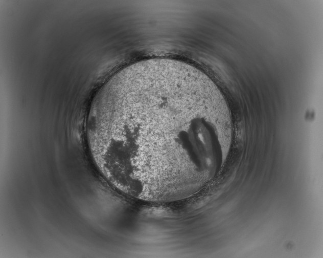 X0000101150503200807111009