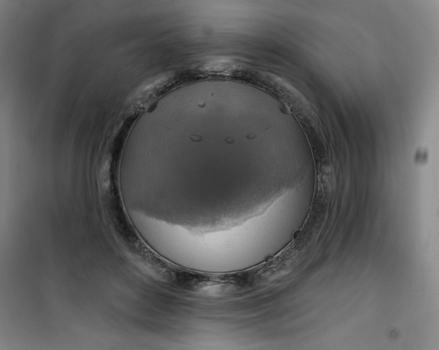 X0000101150504200807111009