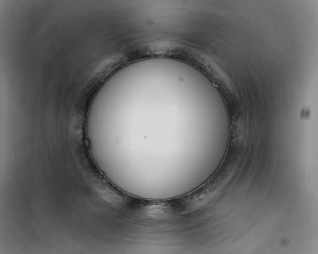 X0000101150505200807111009