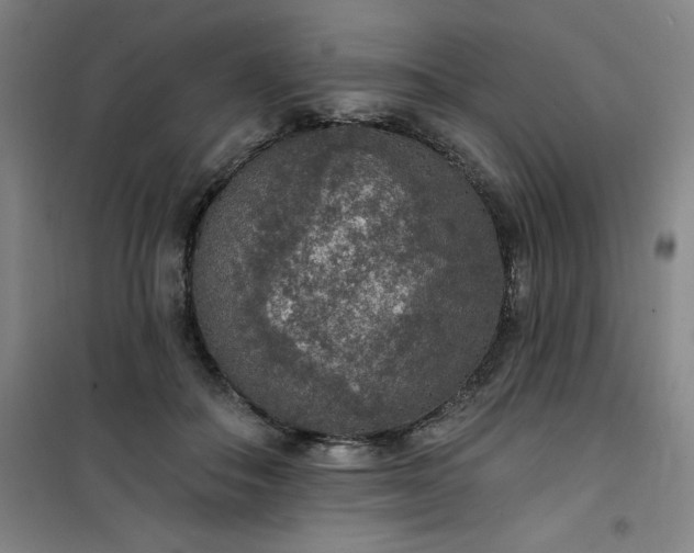 X0000101150506200807111008