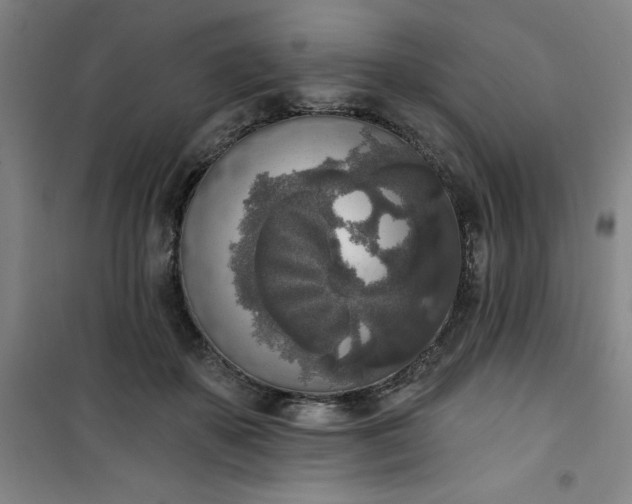 X0000101150507200807111008