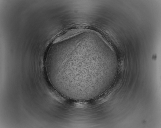 X0000101150508200807111008