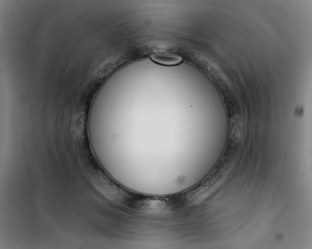 X0000101150509200807111008