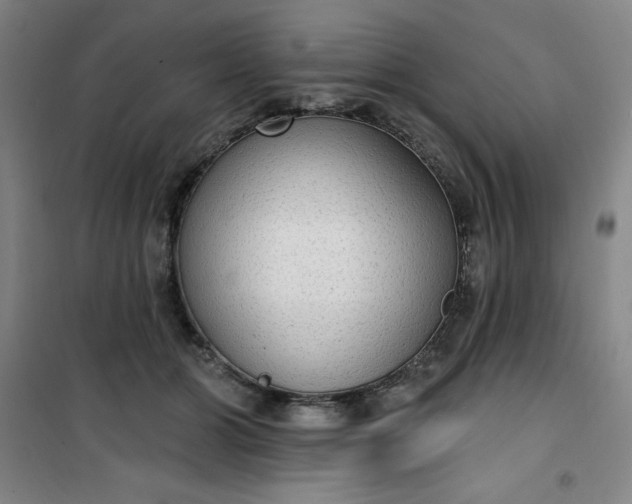 X0000101150510200807111008