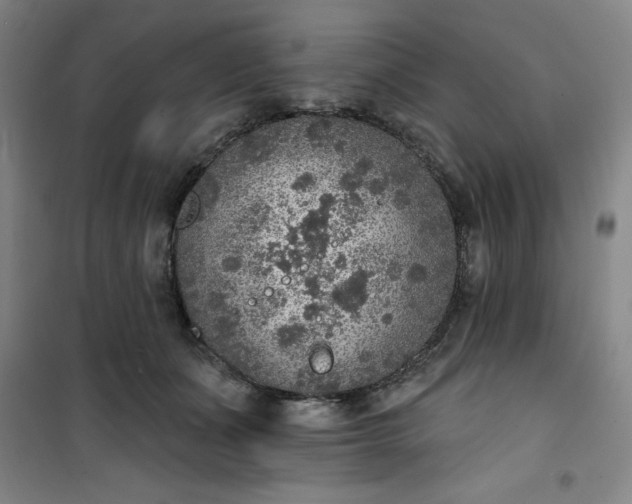 X0000101150511200807111008