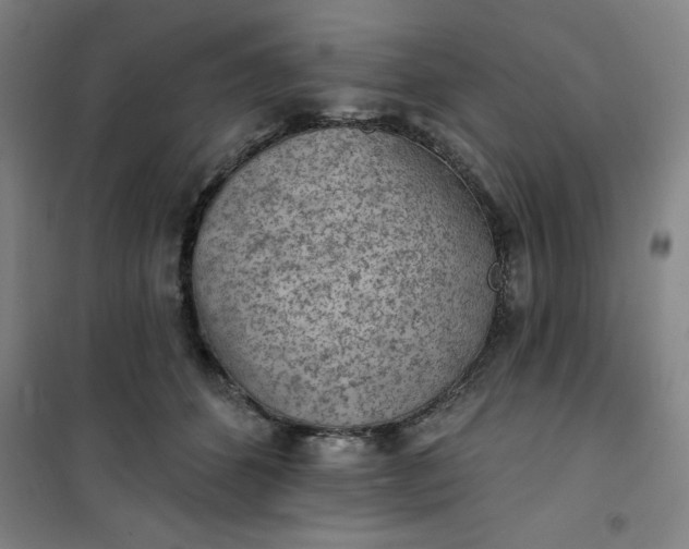 X0000101150512200807111008