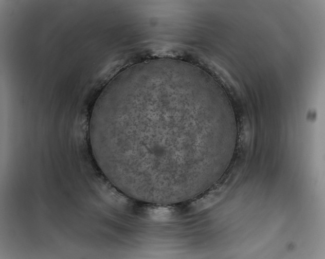 X0000101150513200807111008