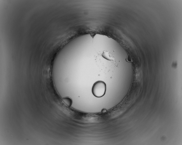 X0000101150514200807111008