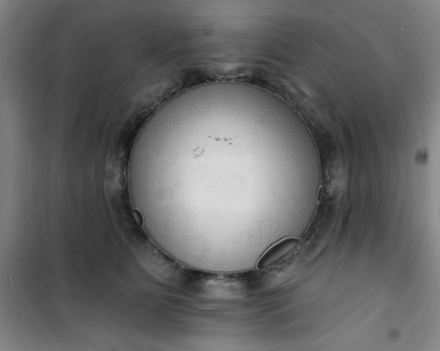 X0000101150515200807111008