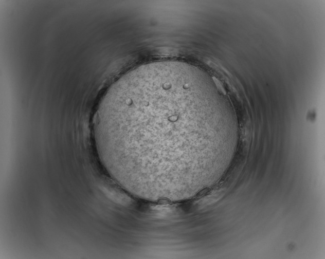 X0000101150516200807111008